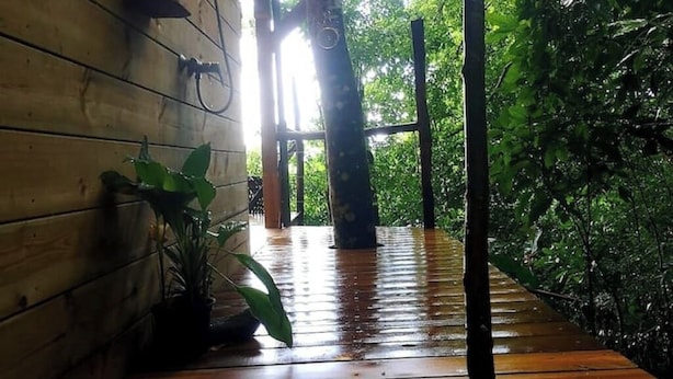A wooden deck leading to a covered area with a view of dense greenery.