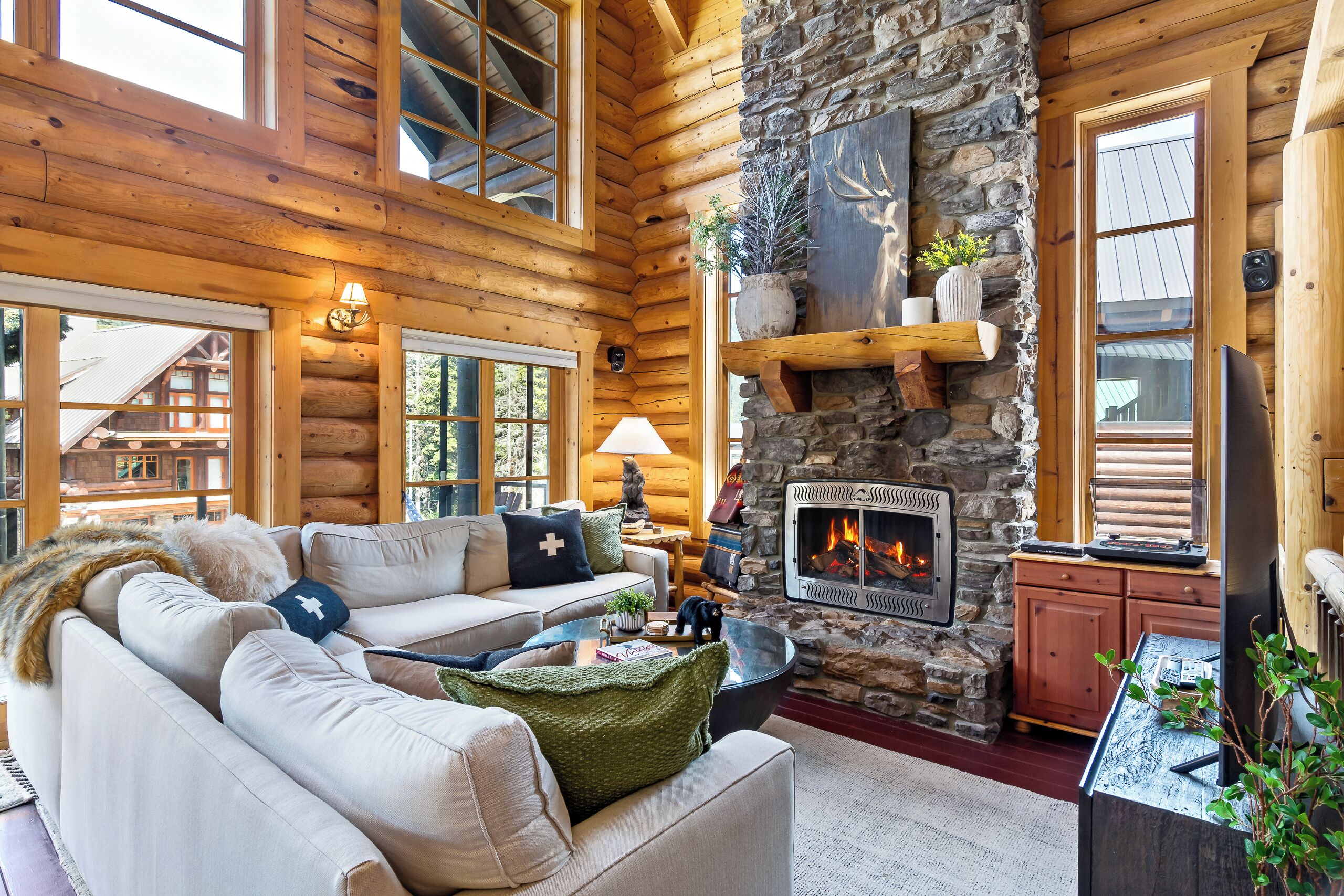 Smart TV, fireplace, video games, DVD player