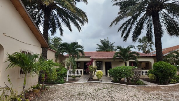 A house with a tiled roof, surrounded by palm trees and a gravel driveway. - Ocean Walk Guesthouse (Brufut)