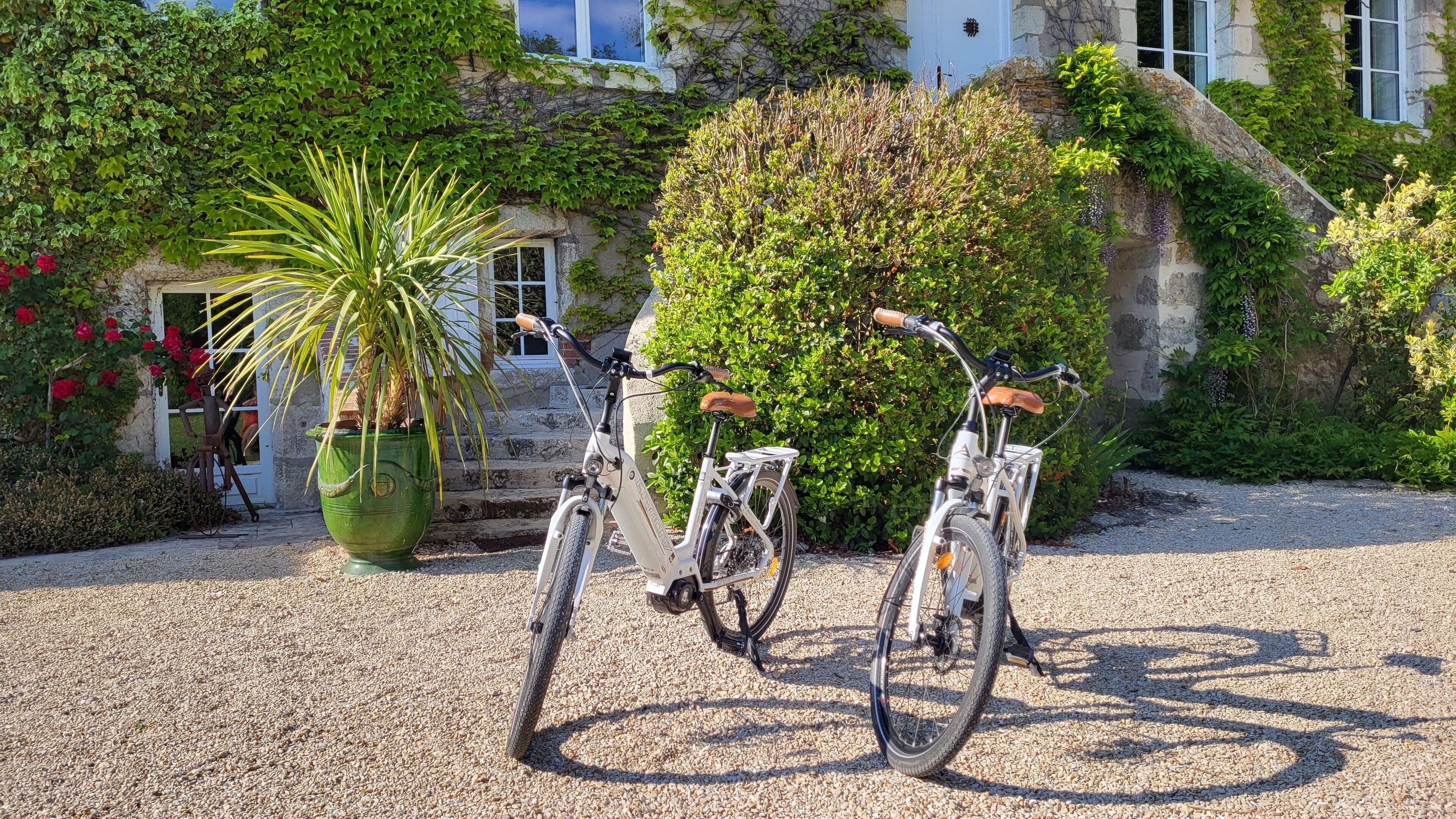 Two bicycles parked on a gravel path in front of a building with ivy-covered walls and a large potted plant.