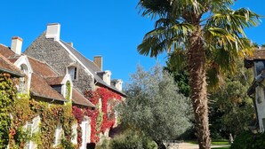 Um edifício de pedra tradicional com telhado de telhas, paredes cobertas de hera e um jardim bem cuidado com uma palmeira e arbustos variados.