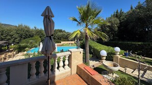 A poolside area with a clear blue sky, a palm tree, and a stone balustrade. - Family house - Country house - Holiday home (Grimaud)