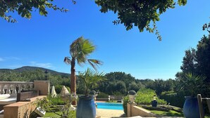 A pool area with a palm tree, potted plants, and a view of the mountains. - Family house - Country house - Holiday home (Grimaud)