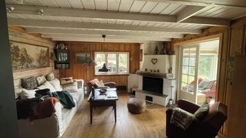 TV, fireplace, DVD player, books