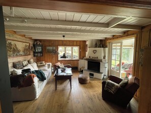 Fernseher, Kamin, DVD-Player, Bücher