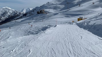 Lumi- ja hiihtourheilulajit