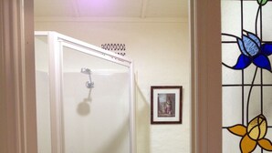 A bathroom with a glass shower enclosure, a white toilet, and a framed picture on the wall. - Cosy north facing priv selfcontained Suite set within large garden, 7min to town (Hamilton)