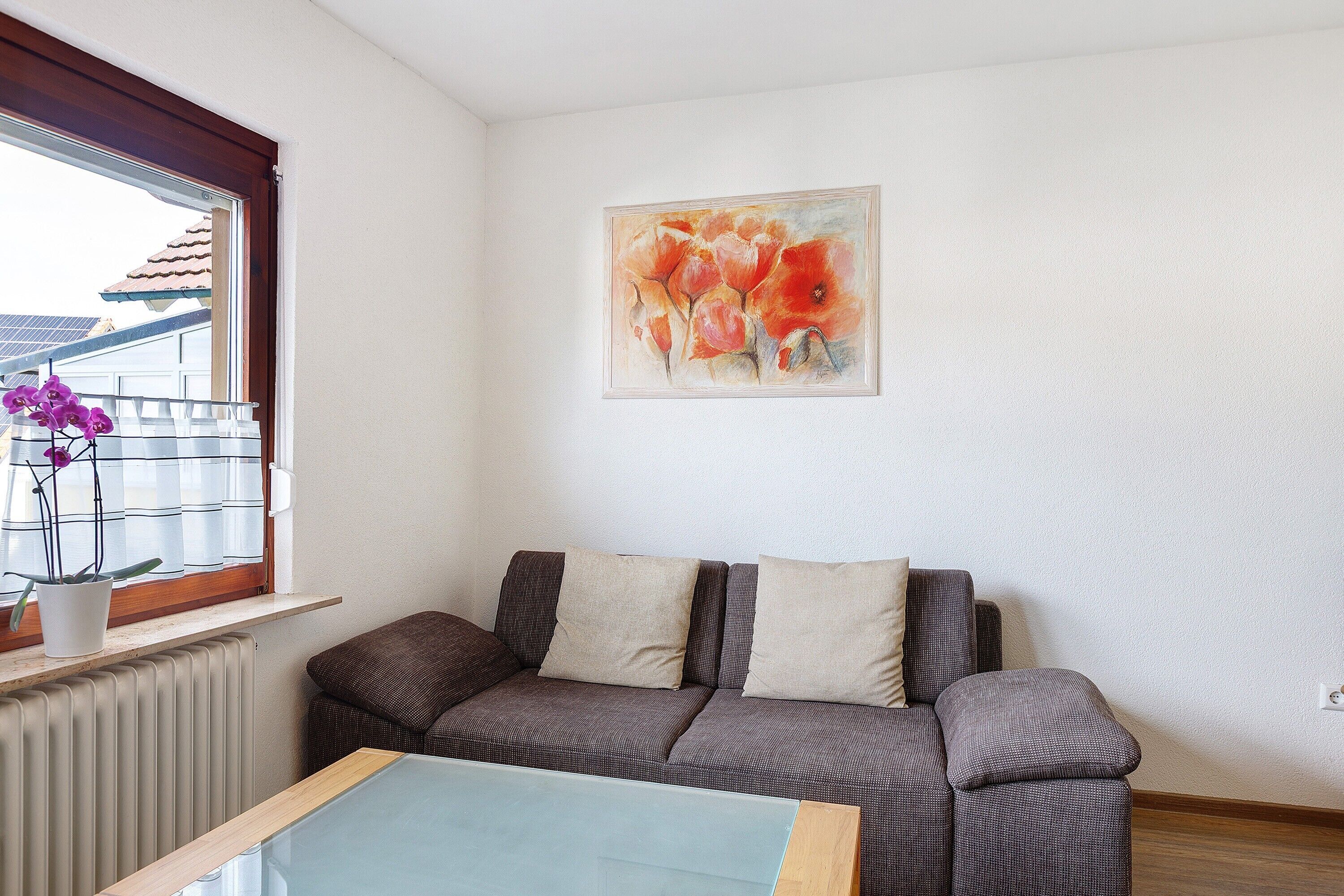 Fernseher, Tischtennisplatte