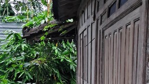 A wooden building with a weathered exterior and a small garden area with potted plants. - Eyang Residence Limasan Kebon Dalem (Prambanan)