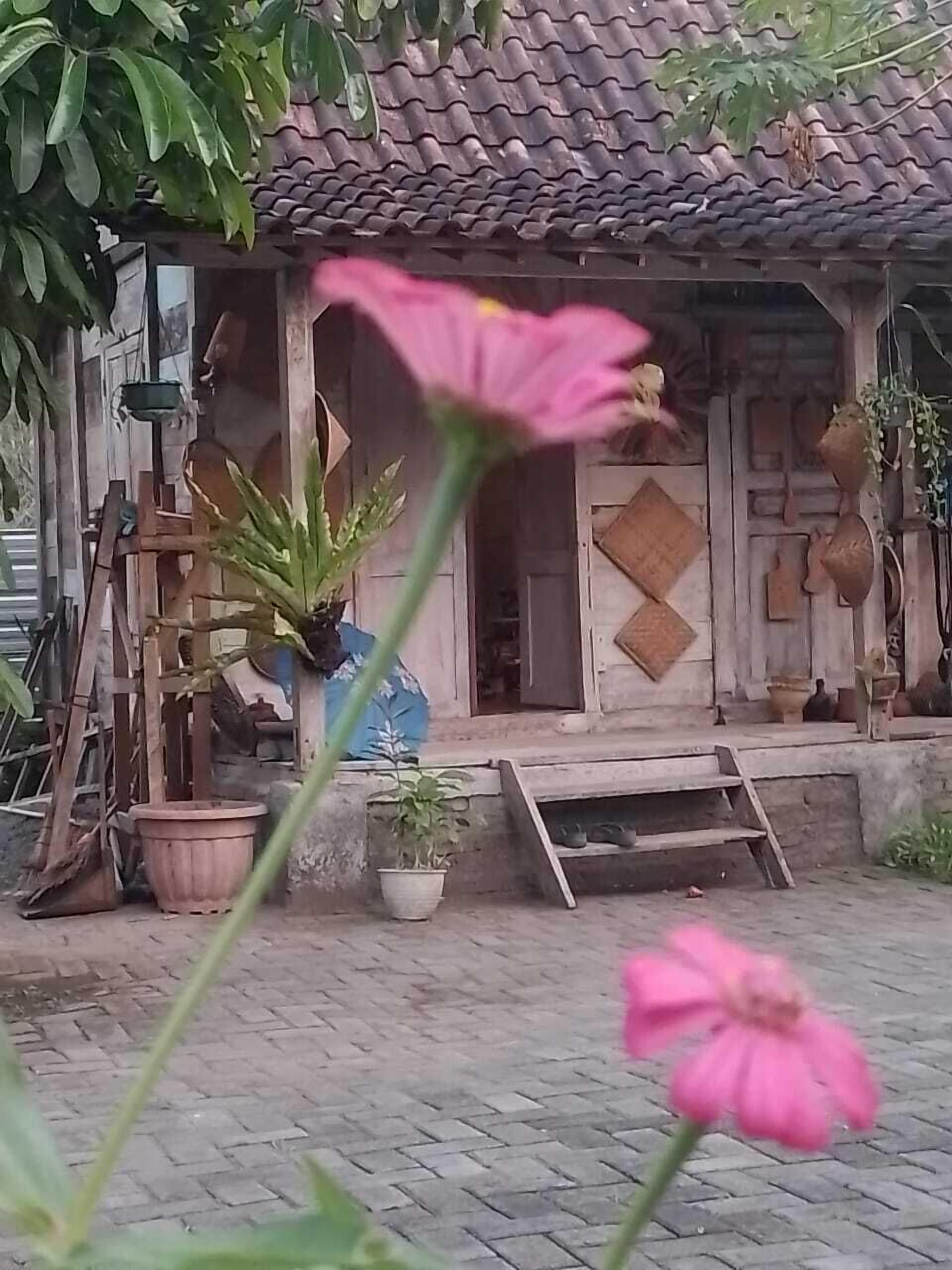Un edificio rústico con techo de tejas, un porche de madera y diversas macetas con plantas.