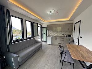 Luxury Apartment, Balcony, Mountain View | Private kitchen | Mini-fridge, microwave, cookware/dishes/utensils
