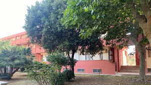 A courtyard with a large tree, a small bush, and a building with red walls and windows. - Casa vacanze La Perla. Alghero, Lido Mari Pia area (Alghero)