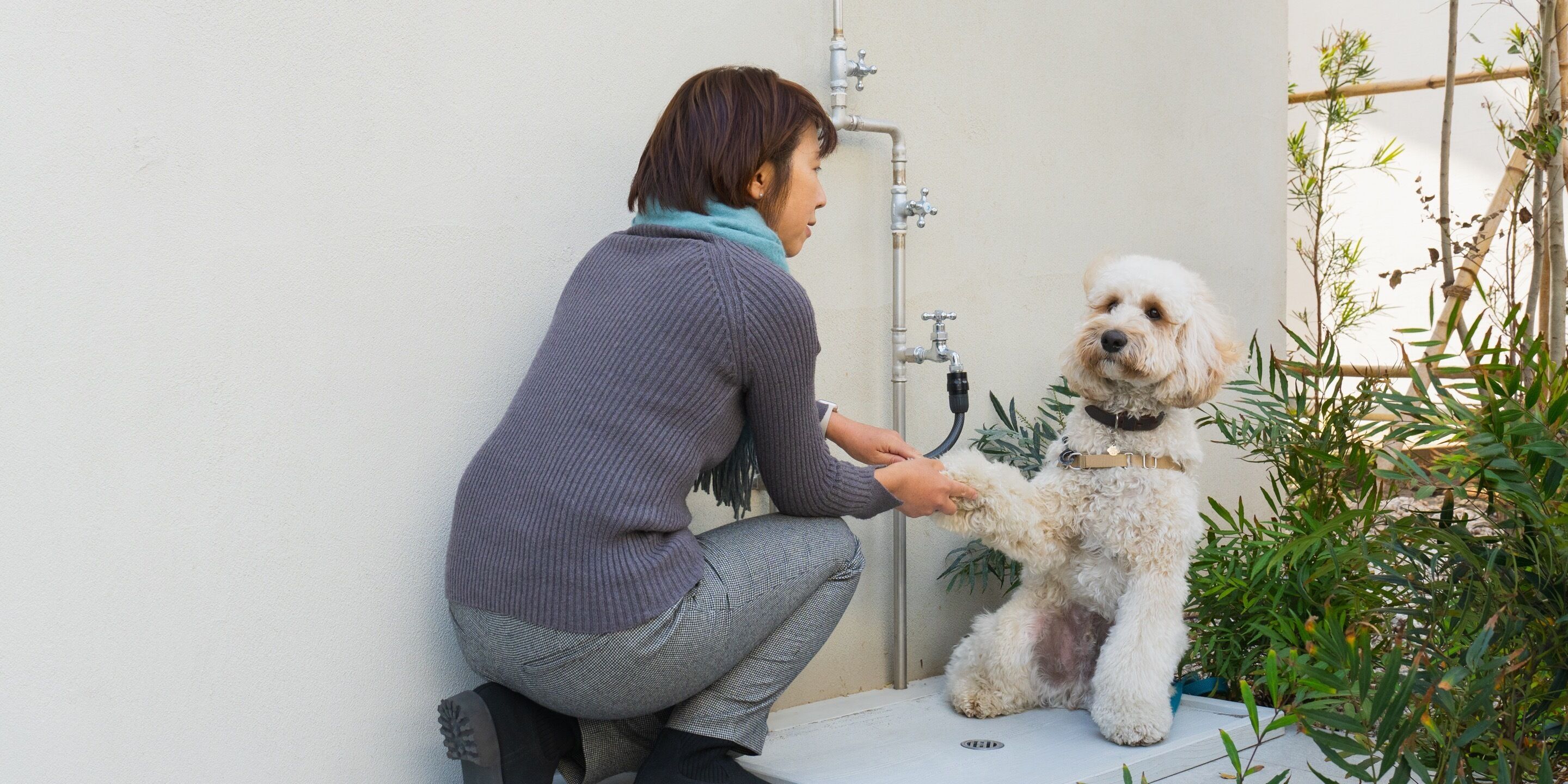 A person grooming a dog in a small, enclosed space with a white wall and a water hose.