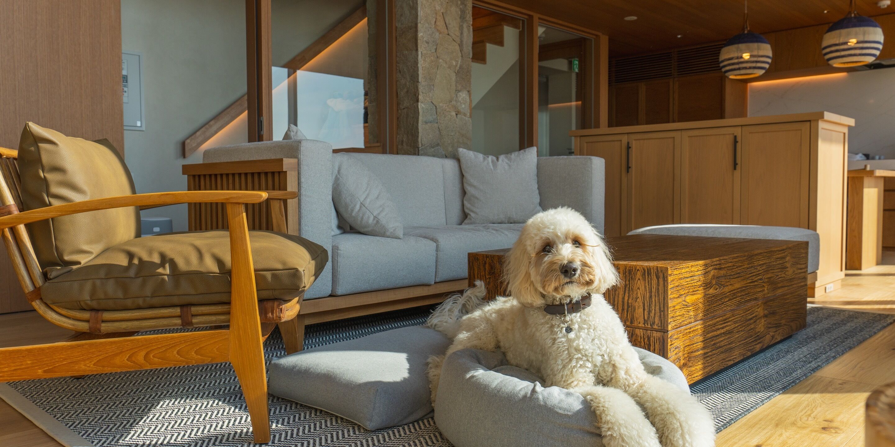 A modern living room with a wooden coffee table, a grey sofa, and a dog resting on a grey pet bed.