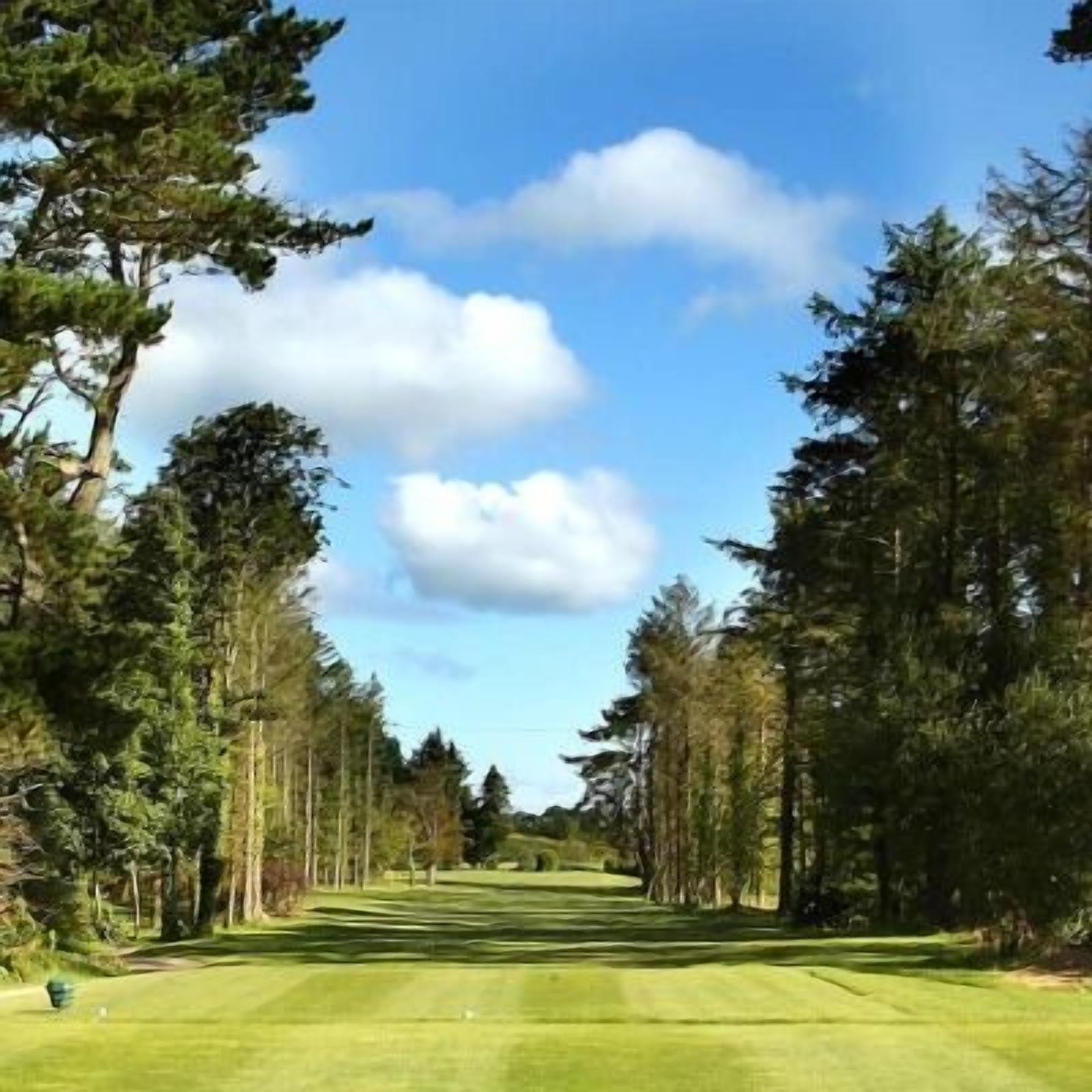 Un parcours de golf sous un ciel dégagé, entouré de grands arbres.