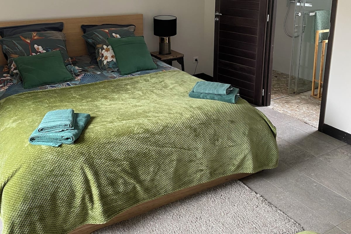 Un dormitorio moderno con una cama grande, una mesita de noche, una lámpara y una puerta de ducha de vidrio.
