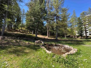 Terrain de l’hébergement 