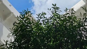 Une vue à travers une fenêtre carrée, avec un ciel dégagé et quelques nuages.