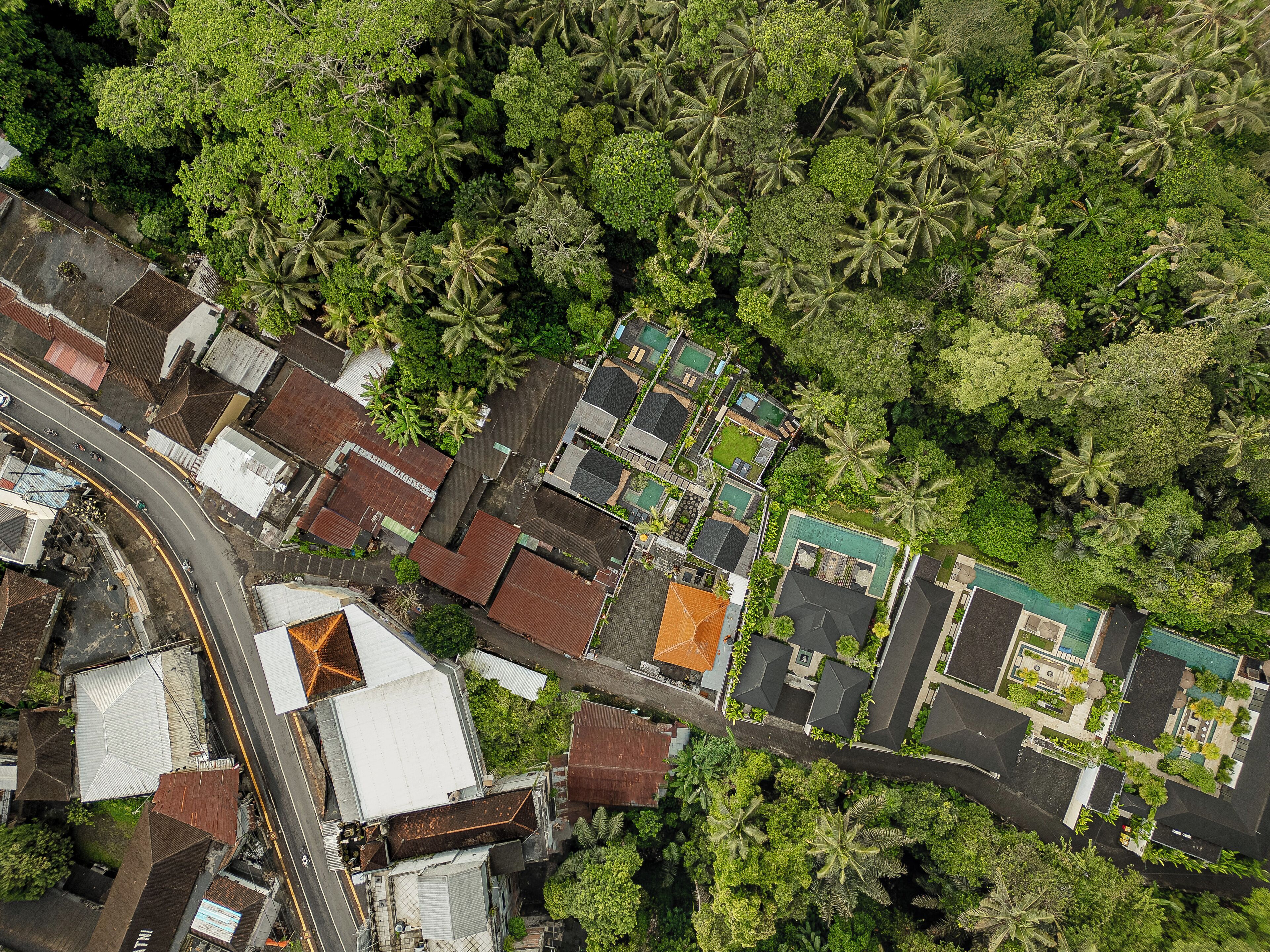 An aerial view of a residential area with houses, a road, and dense greenery.