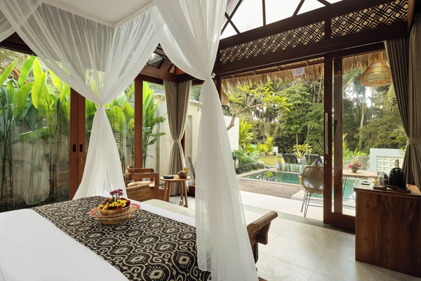 One Bedroom villa private pool with Jungle view | View from room