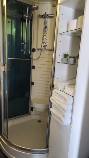 Secador de cabelo, toalhas de banho, sabonete, papel higiênico