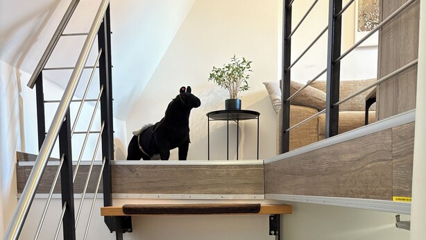 Eine moderne Treppe mit Holzboden und Metallgeländern.