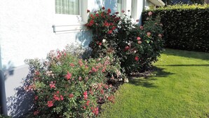 A white building with a garden, a hedge, and a lawn. - Apartment '4' with Wi-Fi (Cuxhaven)