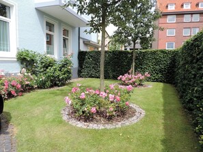 Un giardino curato con un albero centrale e cespugli di rose, circondato da un siepe e un edificio con diverse finestre.