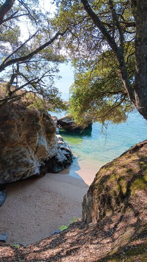 A coastal landscape with clear water, sandy beach, rocky outcrops, and dense foliage.