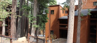 HOA Pool, Mtn bike dreamer from our Ski Trail Condo in Northstar