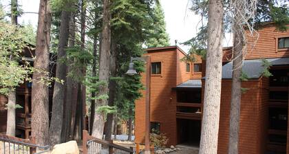 HOA Pool, Mtn bike dreamer from our Ski Trail Condo in Northstar