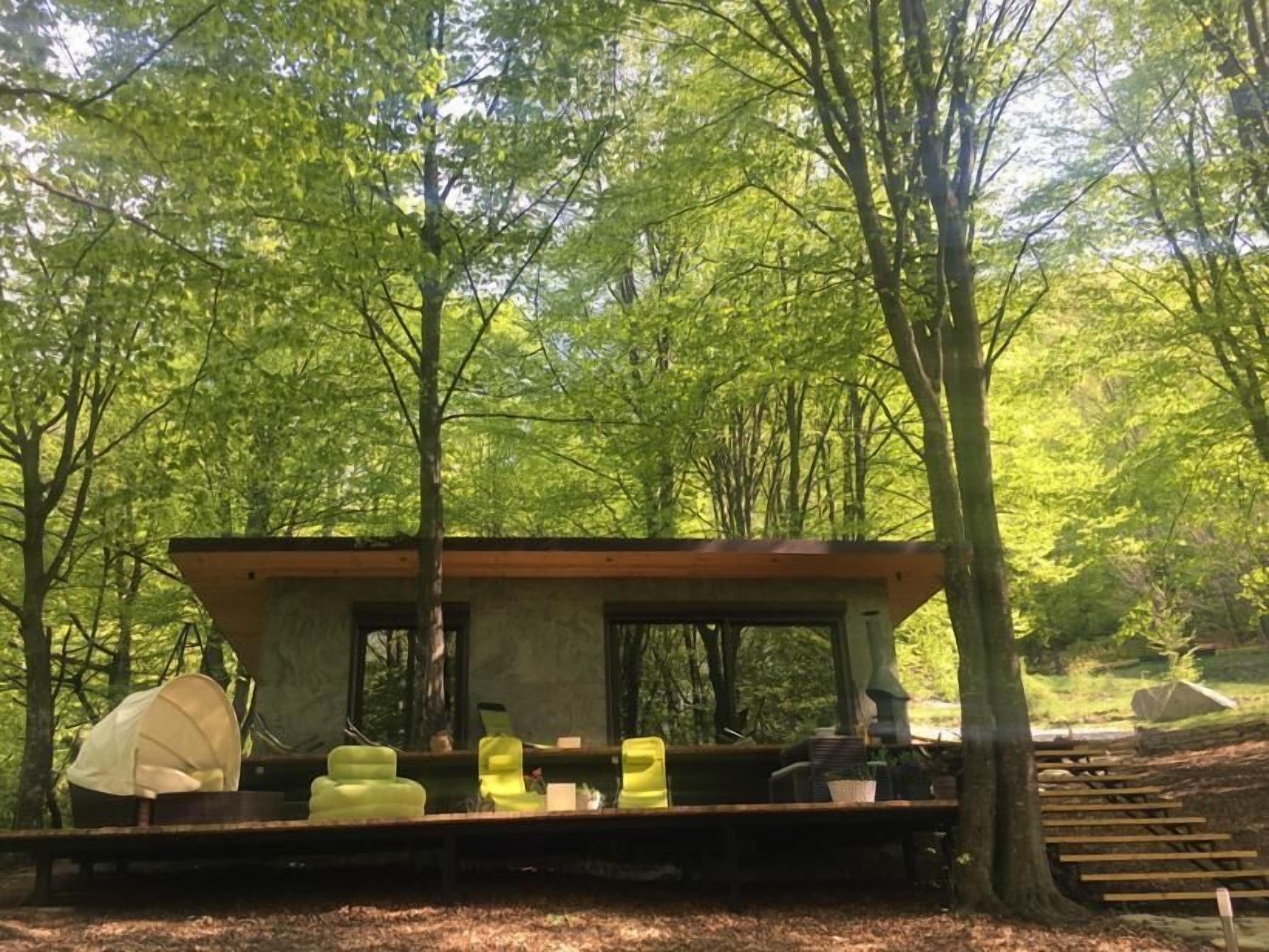 Una estructura de madera rústica con un banco y una mesa, rodeada de árboles.