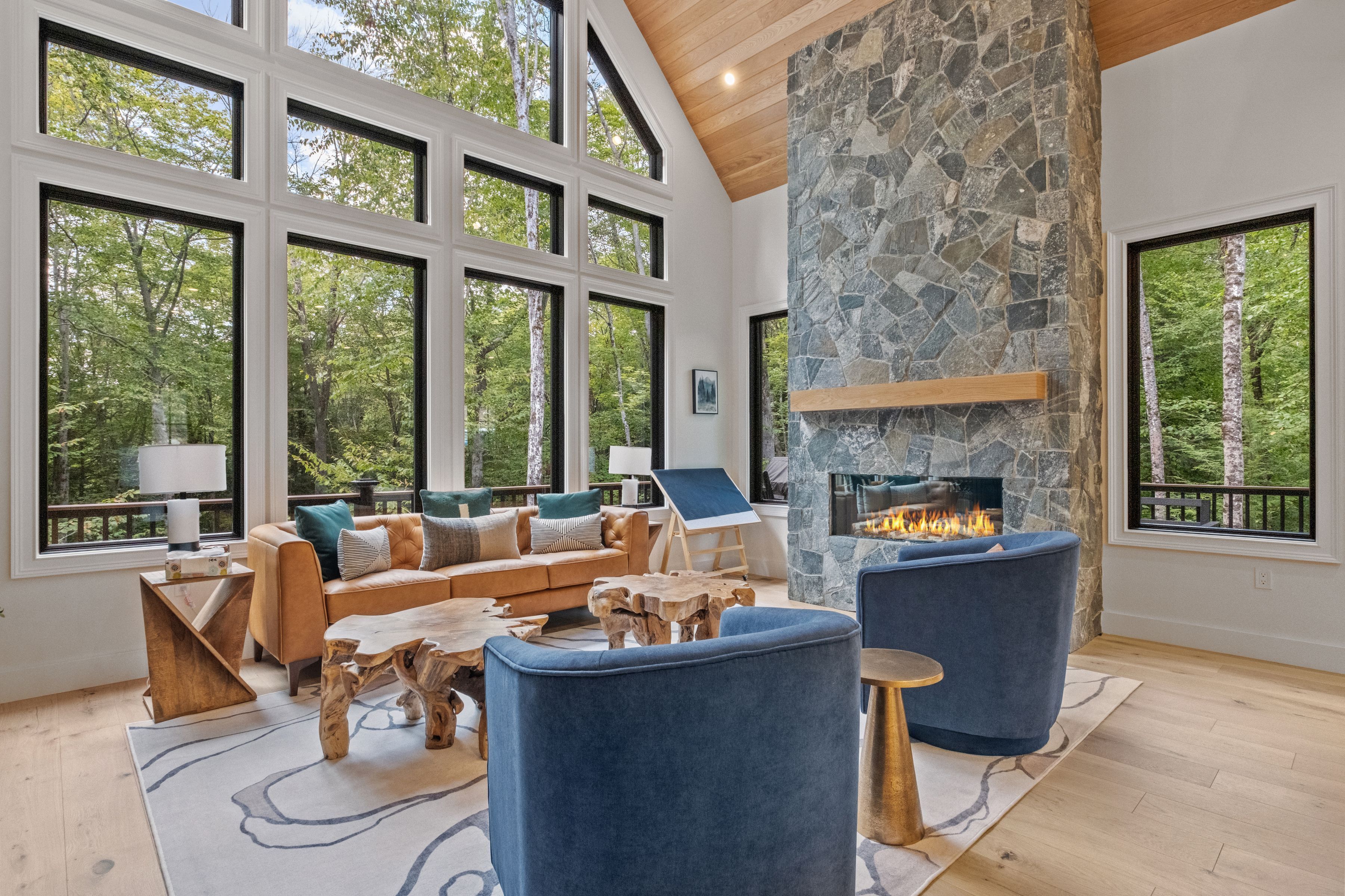 TV connectée, cheminée, jeux vidéo, espaces bureaux