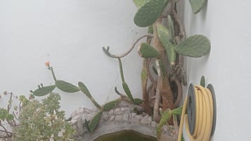 Detalhe da fachada