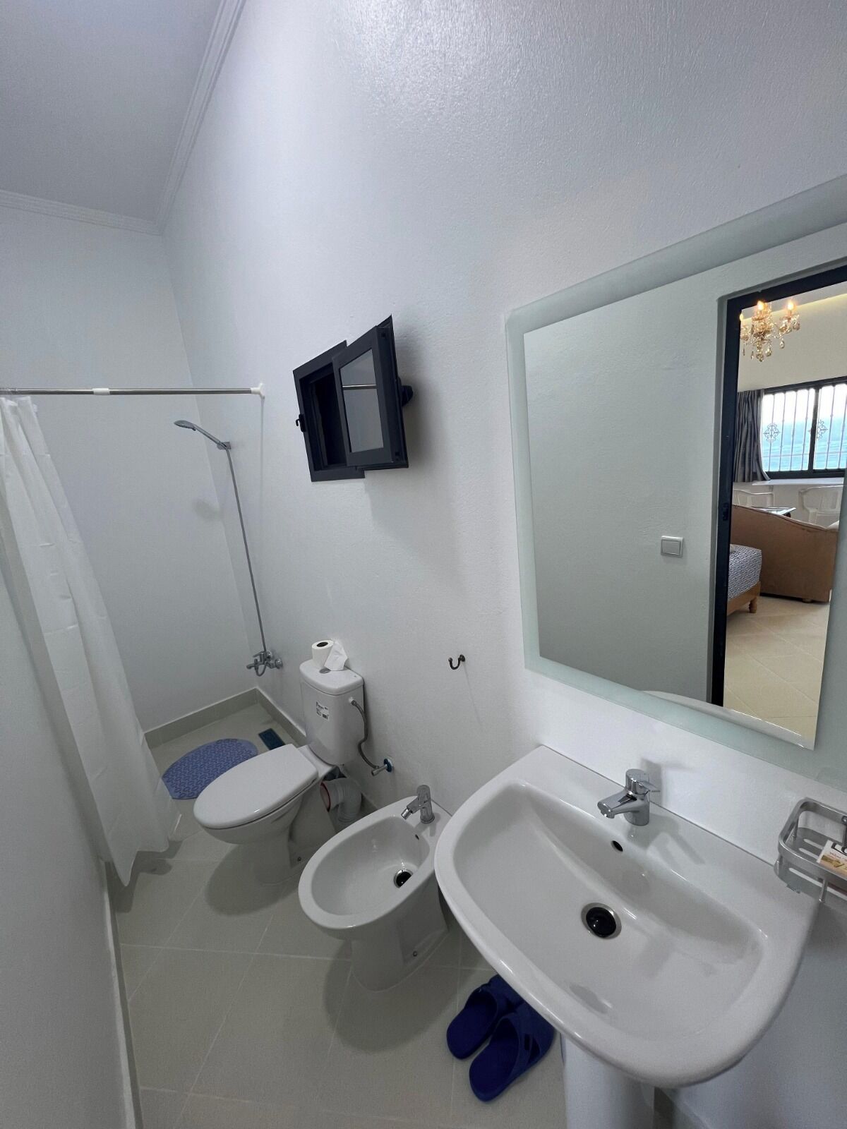 A bathroom with a shower, toilet, bidet, and sink.