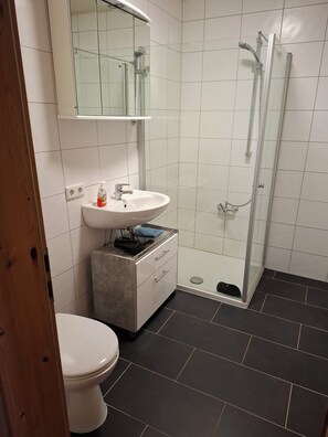 Hair dryer, towels, soap, toilet paper