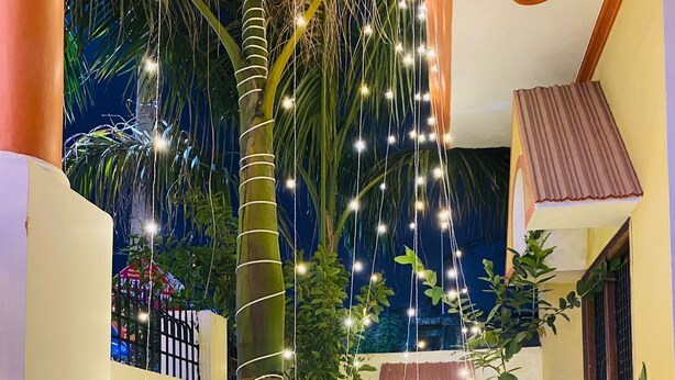 A courtyard with a large palm tree, potted plants, and string lights. - Rudra Homestay (Varanasi)