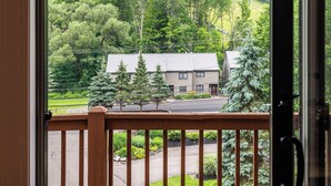 Unclassified image, 4 of 60, button - 3 Bedroom Townhouse Across from Holimont (Ellicottville)