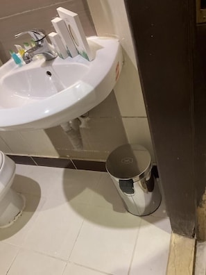 Vierpersoonskamer | Badkamer | Een douche, handdoeken, zeep, shampoo