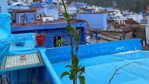 Une vue d’une ville avec des bâtiments bleus et une plante au premier plan.
