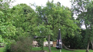 Un espace extérieur verdoyant avec des tables de pique-nique et des parasols.