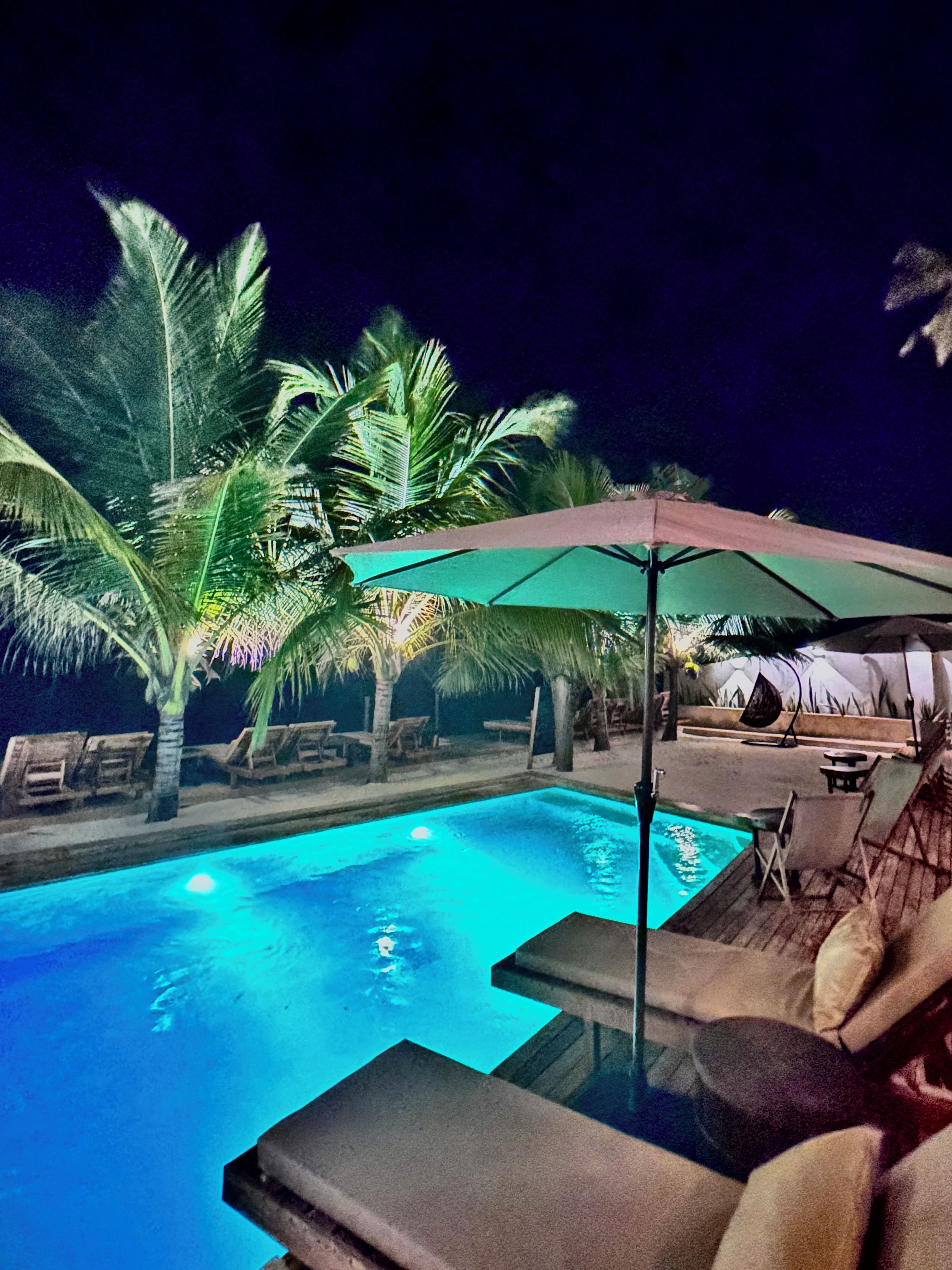 A swimming pool with lounge chairs and umbrellas, surrounded by palm trees.
