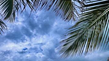 A wooden table with a coconut and a decorative item, overlooking a turquoise sea under a cloudy sky.
