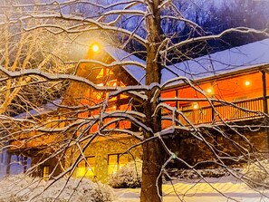 Exterior - Ski Cabin Retreat -Hot Tub, Game Room, Rec Access (McGaheysville)