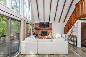 TV, fireplace, books