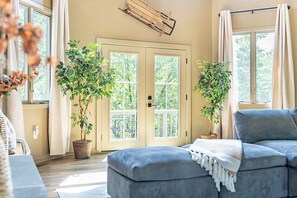 TV, fireplace, video games, DVD player