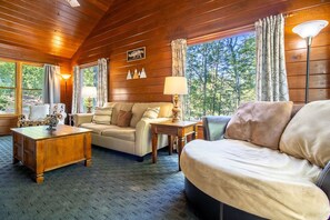 TV, fireplace, video games, DVD player