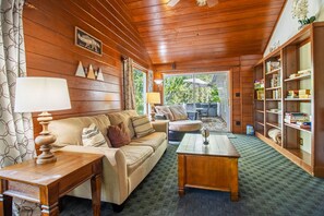 Télévision, cheminée, jeux vidéo, lecteur de DVD