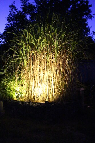 Ruhe & Entspannung im Grünen Waldtraum-Wendland
