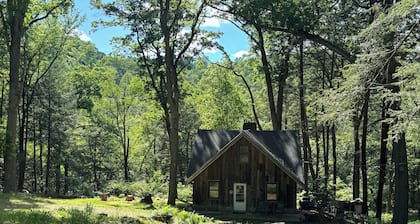 Rustic 2BR 1BA Cottage w Porch!